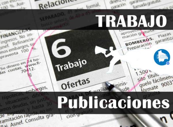 Ofertas laborales para Tarija. (Domingo 28 de noviembre)